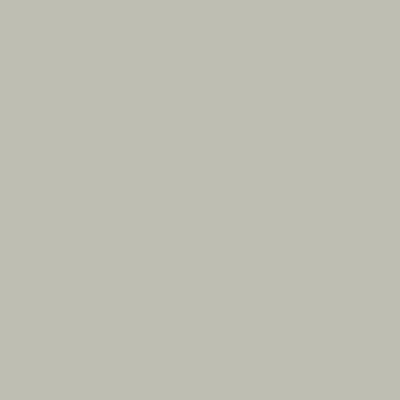 Austere Gray SW 6184